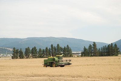 peaharvest